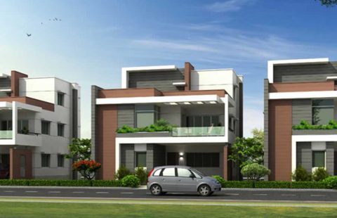 Rajapushpa Canandale #ID112