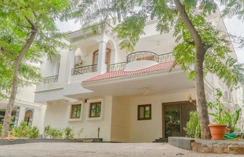 Cyber Meadows Society