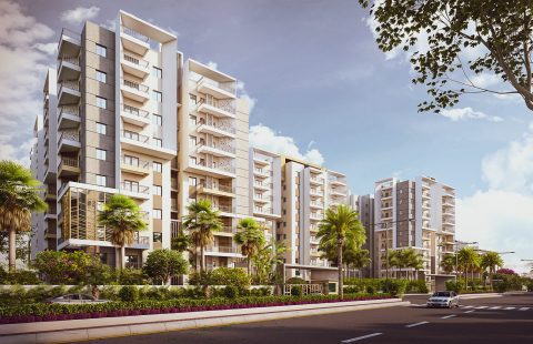 Alekhya Palm Woods